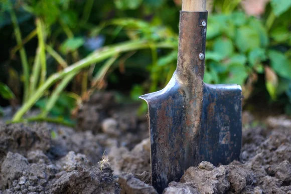 Ein Spaten steckt im Gartenboden.